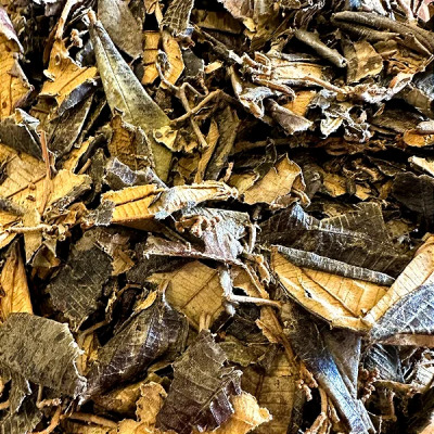 Canela de Velho (Chá)